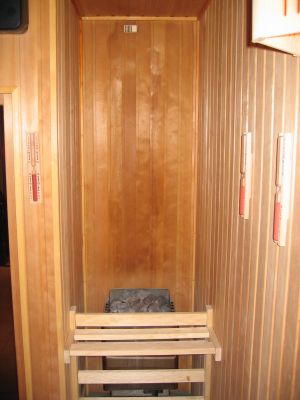 Der Saunaofen mit Schutzgitter